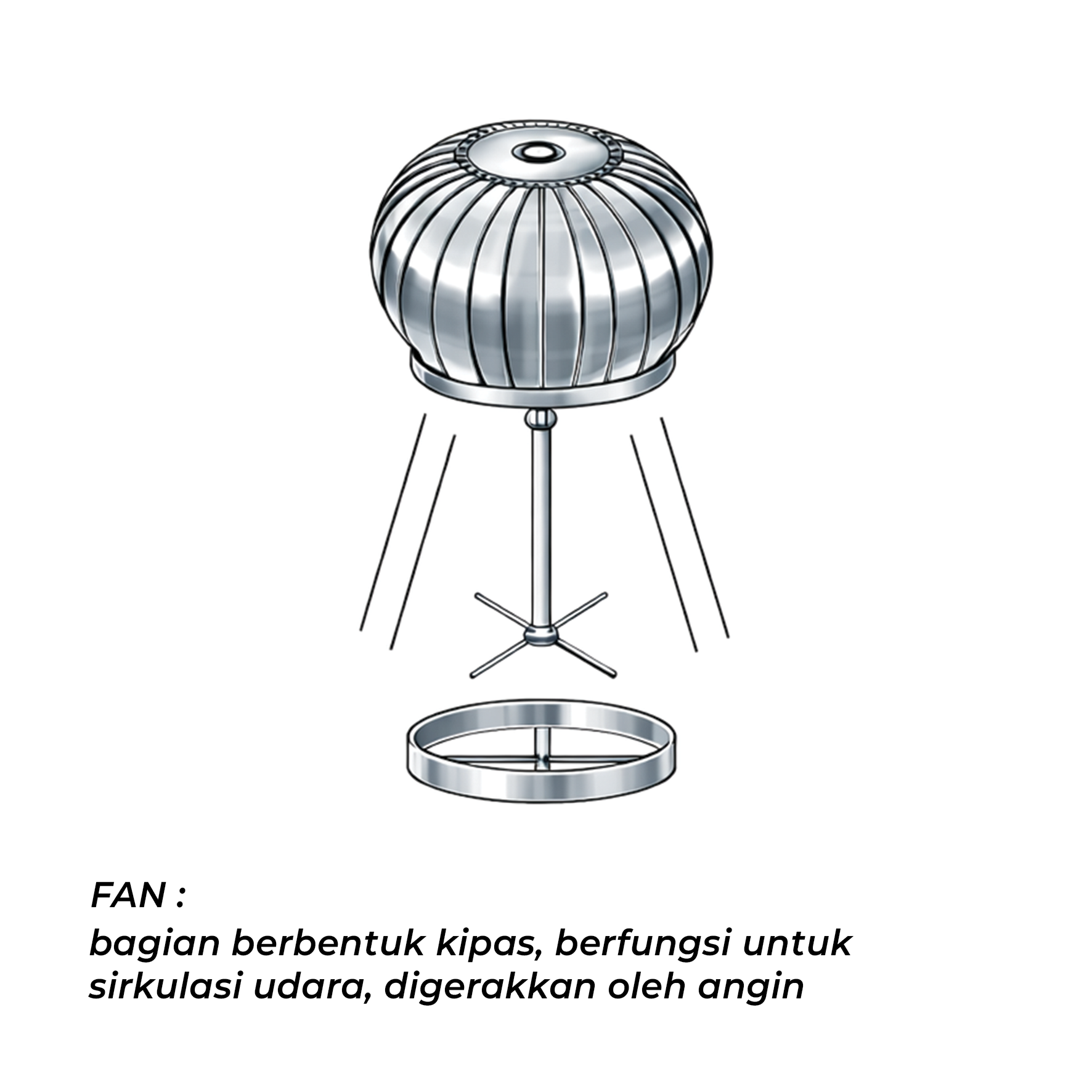 Ozvent 24 inch