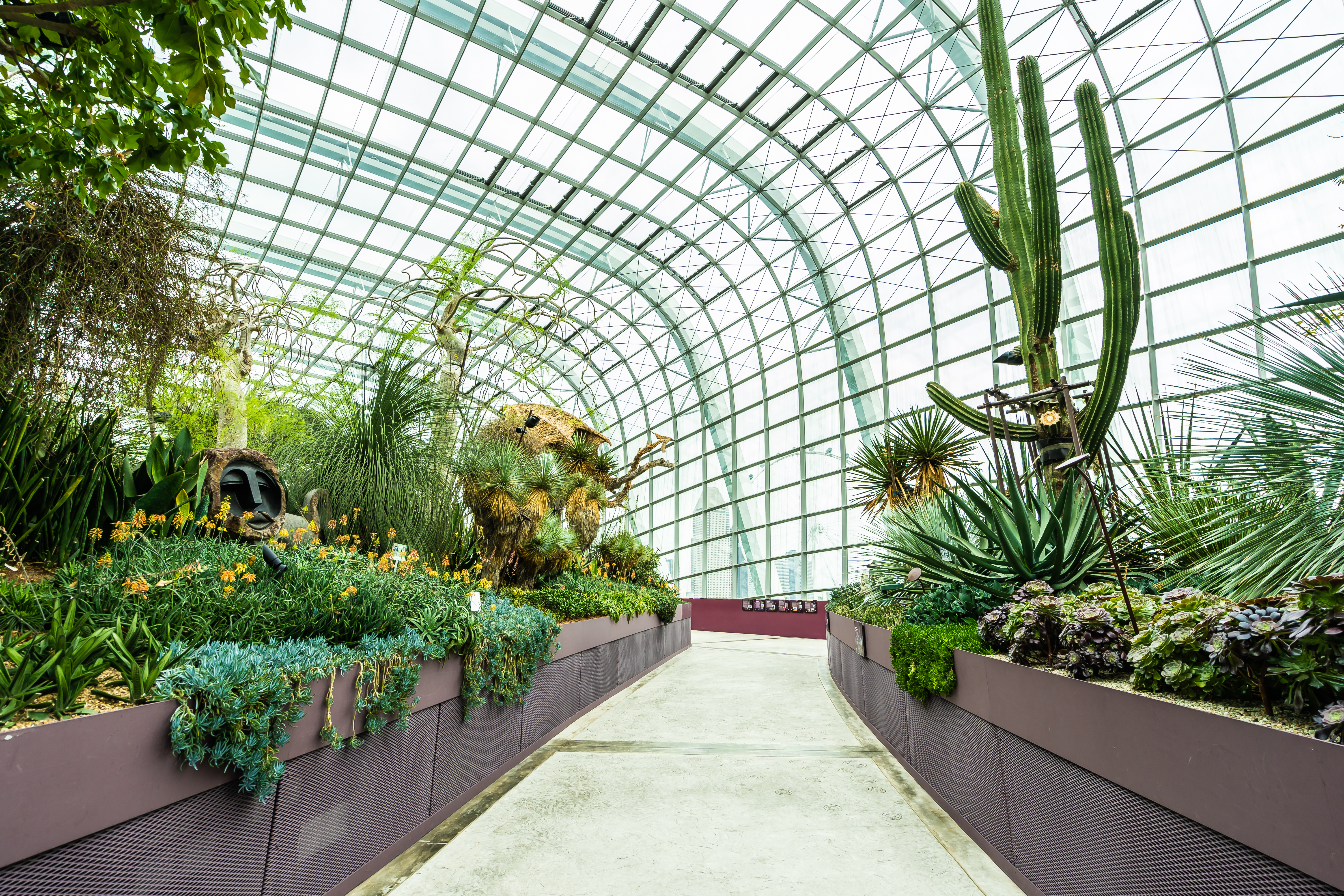 Waterproofing for Rooftop Gardens: Is Standard Concrete Roof Waterproofing Enough?