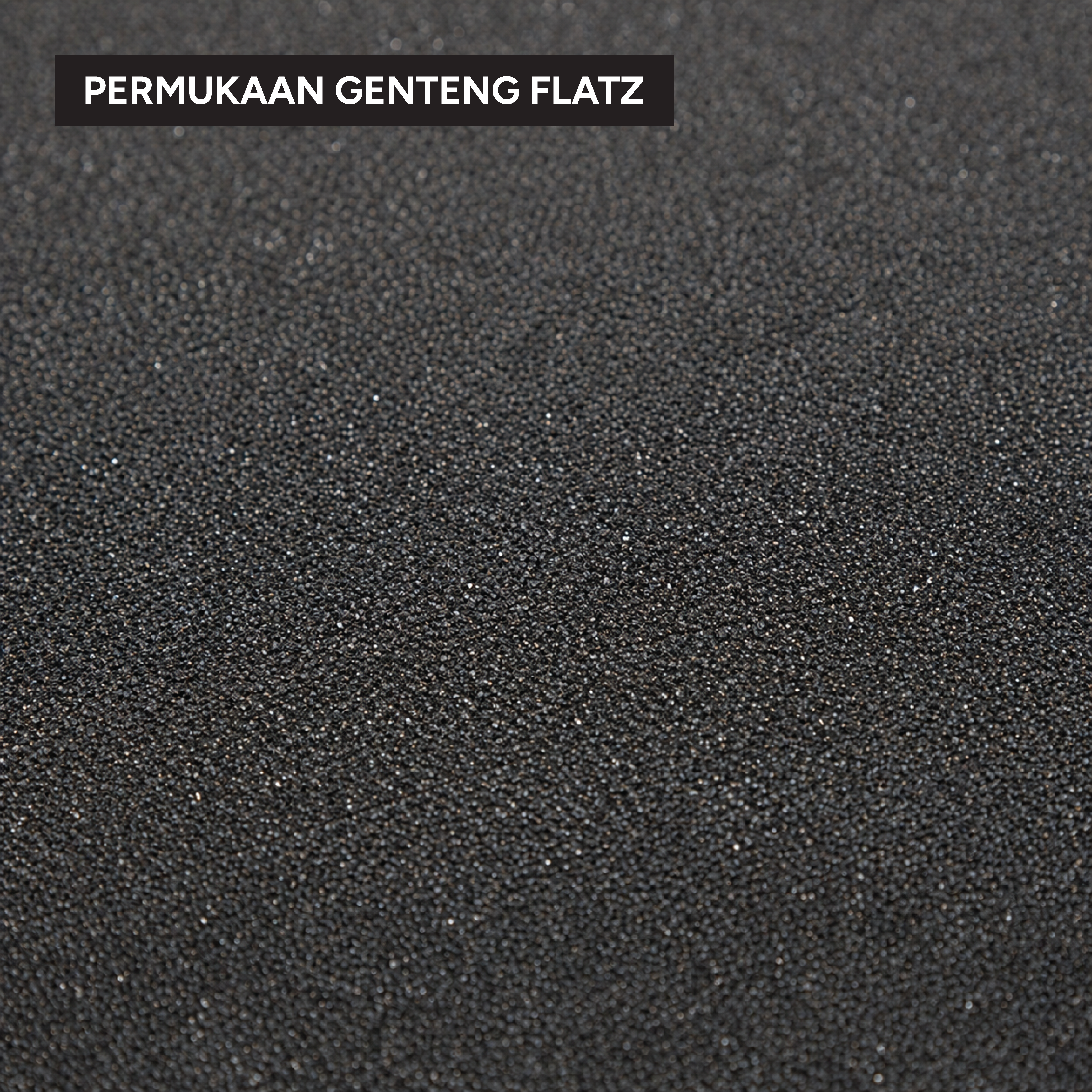 Flatz Roof Pro
